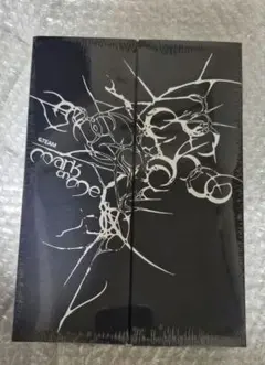 &TEAM mark on me CRAVE YOU ver. CD 未開封