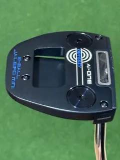 Ai-ONE 2-BALL JAILBIRD MINIパター　34インチ