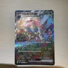 フシギバナex SAR