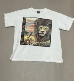 90s ONEITA COHO Beach Party Tシャツ霜降りホワイト - メルカリ