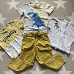 クレードスコープ 恐竜Tシャツ 長ズボン☆110