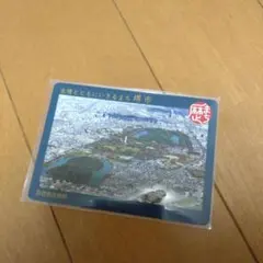 Item thumbnail for item f986d8e3-c933-4386-9f11-748d84773d07