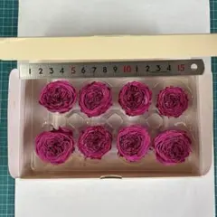 ナナガーデンローズのカシスベリー