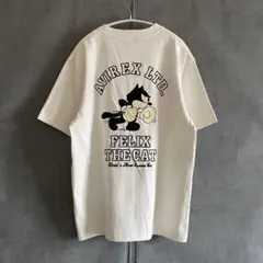 Item thumbnail for item bf31c916-0ff2-4a9c-9765-6f8a09aadae9