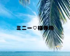 ミニー♡様専用