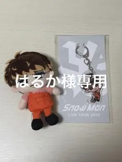SnowMan向井康二 すのちる ぬいぐるみ・キーホルダー