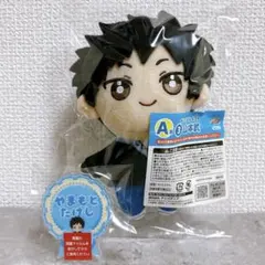 家庭教師ヒットマンREBORN! リボーン ひこくじ 山本武 A賞 ぬいぐるみ