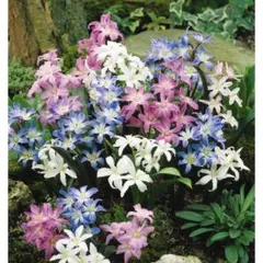 るう様 リクエスト 2点 まとめ商品