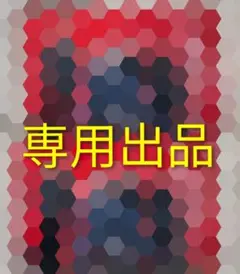 専用出品