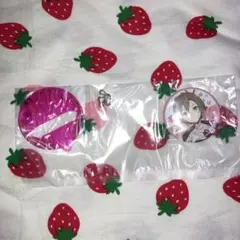 プロセカ　MEIKO 缶バッジ&ケースセット　セガラッキーくじ