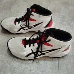 ASICS 　バスケットボールシューズ 　ホワイト　24cm　ダンクショット