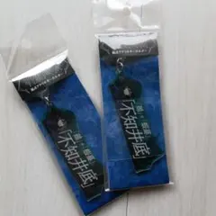 呪術廻戦 公式グッズ 不知井底 術式アクリルキーホルダー 伏黒恵　2個セット