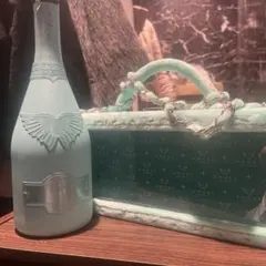 2026年最新】エンジェル シャンパン グリーンの人気アイテム - メルカリ