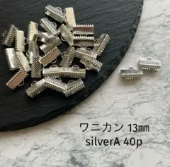 ワニカン　13㎜　silver A 40個