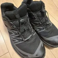 ひ*ろ様 Salomon XT-EVR GTX 27.5cm - メルカリ