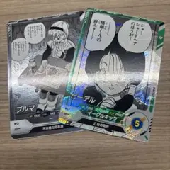 ビーデル　ブルマ　apt-024 APT-018