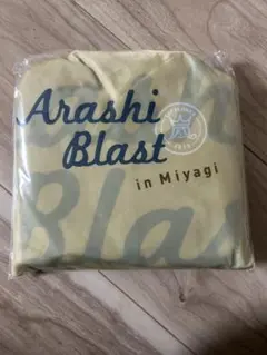 Arashi Blast in Miyagi レインポンチョ 未開封