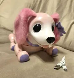 2025年最新】ハロー! ズーマー ミニチュアダックス ピンクの人気