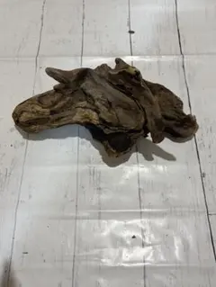 天然流木　枝分かれ