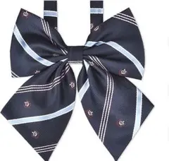 Item thumbnail for item 82ea8117-65dd-453d-8829-657878ced9e1