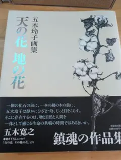 天の花地の花 : 五木玲子画集 - メルカリ