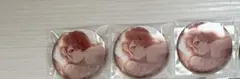 プロセカ 缶バッジ みのり