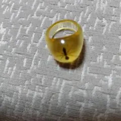 昆虫入り黄色樹脂リング 最終値下げ