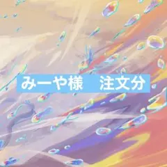 みーや様 リクエスト 2点 まとめ商品