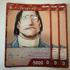 アンドレキャメル　R