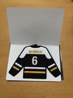 2026年最新】seventeen ウォヌ ワッペンの人気アイテム - メルカリ