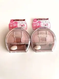 CANMAKE アイシャドウパレット 02 2色セット