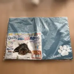 Item thumbnail for item 9fc4effe-2238-496a-b684-935a445e1314