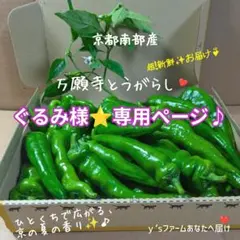 ぐるみ様⭐️専用ページ♪♪のサムネイル