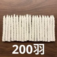 Item thumbnail for item 815c7a38-d07a-45d4-979a-bd9d141b243c