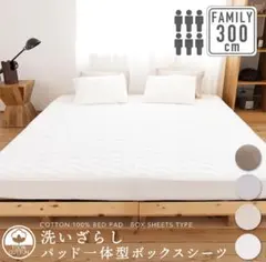 Item thumbnail for item 0655bdb4-40dc-44c0-bc84-f61343929ada