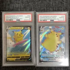 【2連番PSA10】なみのりピカチュウV VMAX RR RRR