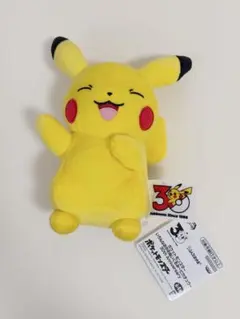 ポケモン いろんなおかおぬいぐるみ ピカチュウ 30th anniversary
