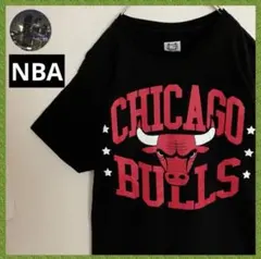 Lサイズ ミッチェル&ネス 東地区NBAチームロゴ 総柄プリント Tシャツ