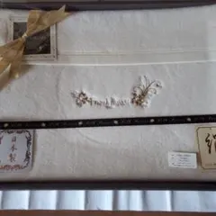 Item thumbnail for item b5b70368-cc71-408c-9275-55e1e9778d28