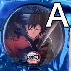 冨岡義勇_水の呼吸ランダムアクションアニメーション缶バッジA