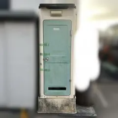 ELEGANT SAUNA STG-1200 家庭用サウナ 鎌ケ谷市 - メルカリ