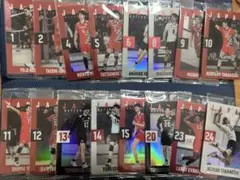 バレーボール男子日本代表のカード付ウエハース*ノーマルコンプリートセット