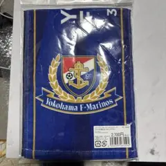 2024 横浜Fマリノスvs Newcastle United 記念タオル