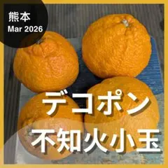 ★「不知火　小玉」9.6kg　48玉程度　熊本みかん　デコポンのサムネイル