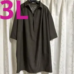 Paciente collezione 大きいサイズ XL.3L ワンピース