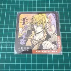 天野明展 ディーノ コースター