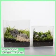 はなはなはなこ様 リクエスト 2点 まとめ商品