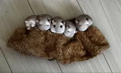 フェリシモ FELISSIMO ハムスター ボックスティッシュカバー