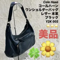 【美品】Cole Haan コールハーン ワンショルダーバッグ レザー Y2Kのサムネイル