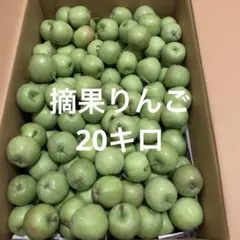 摘果りんご　20キロのサムネイル
